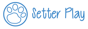 setterplay-blue