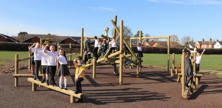 Dinosaur Net - Setter Play