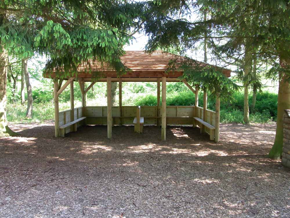 Forest Shelter - Setter Play