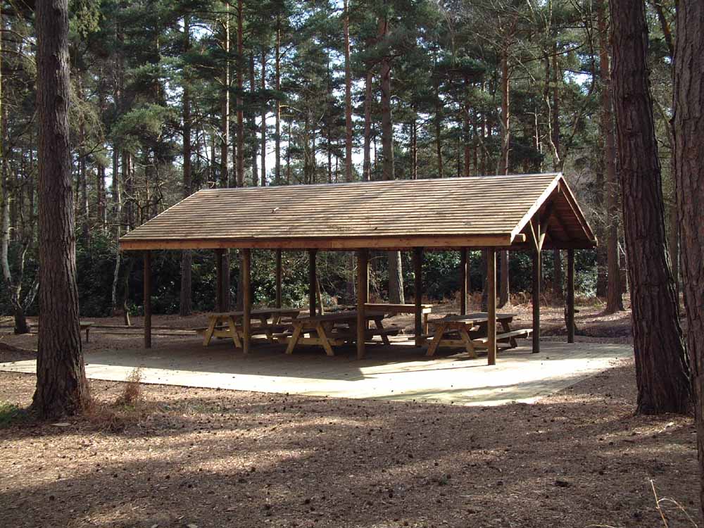 Forest Shelter - Setter Play